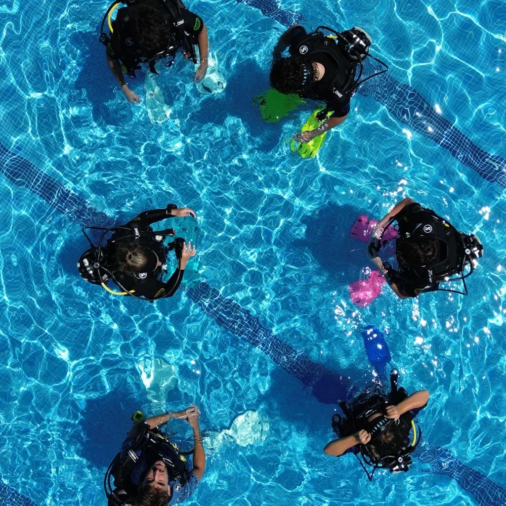 Buceo